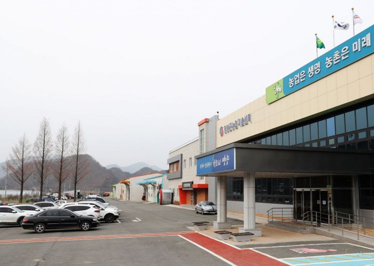 영양군, 과수전정목·고춧대 무료 수거 처리