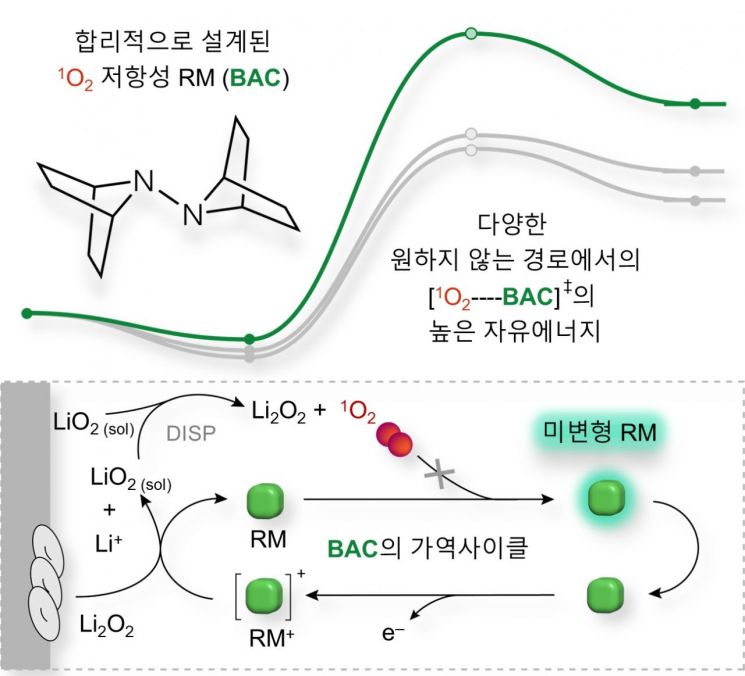 Ajou University Professor Seo Seong-eun of the Department of Chemistry Participates in Lithium-Oxygen Battery Innovation