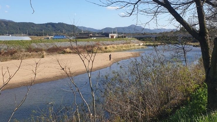 충남 서산시 운산면 대교천 모습. /서산시