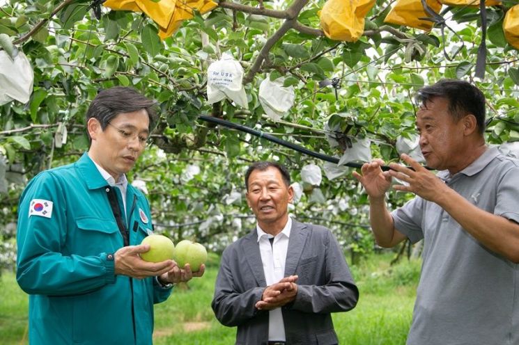 영암군, 꽃가루 공급으로 고품질 배 생산 지원