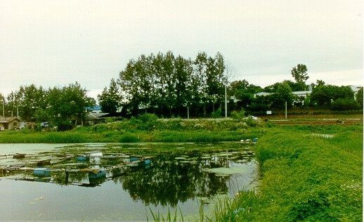 화성시, 정조가 조성한 '만년제' 복원 사업 본격화