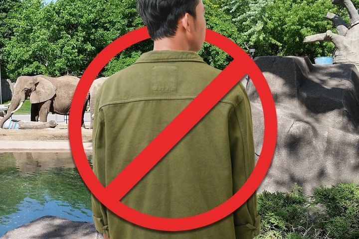 일본의 한 동물원이 불순한 의도로 접근하는 남성 방문객을 차단하기 위해 남성의 단독 방문을 금지하는 조치를 취했다. SCMP
