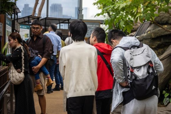 일본의 한 동물원이 불순한 의도로 접근하는 남성 방문객을 차단하기 위해 남성의 단독 방문을 금지하는 조치를 취했다. SCMP