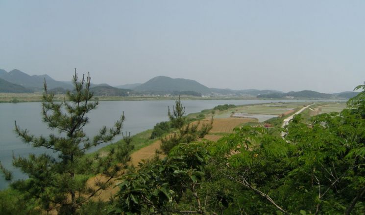 영산강 전경. 전남도 제공