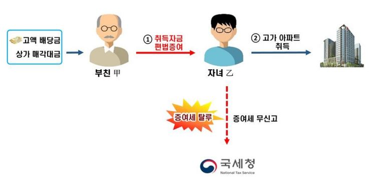 '부모 찬스'로 고가 아파트 사고 증여세 탈루…국세청, 부동산거래 세무조사
