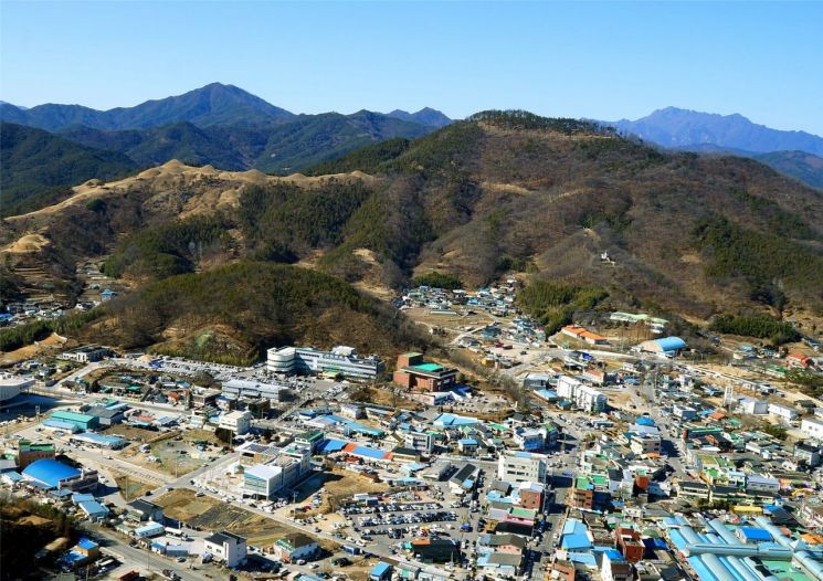 고령 주산성 지산동 고분군. 고령군 제공