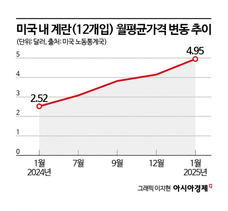 "암탉 빌려드립니다" 극심해진 에그플레이션…계란도둑 극성