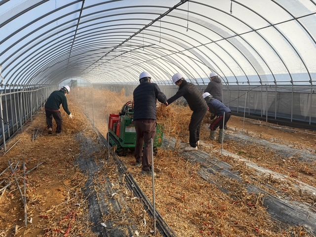 "영농부산물, 절대 소각 금지"…정부, '영농부산물 일제 파쇄 주간' 운영