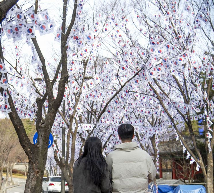 일주일 앞 다가온 3·1절…효창공원 일대 태극기 뒤덮는다