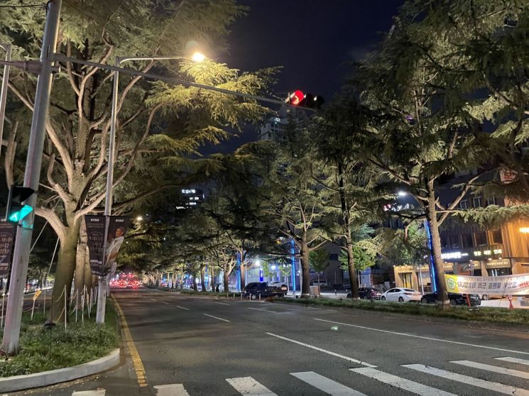 东大邱路夜间全景