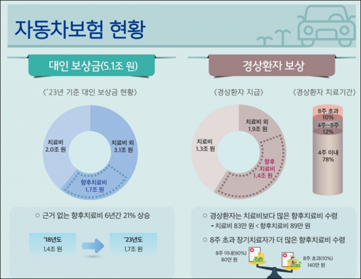 자동차보험 개선한다…경상환자 '향후치료비' 금지하기로