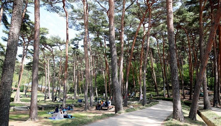 ‘태안 방문의 해’ 순조로운 출발...1월 방문객 13.1% ↑