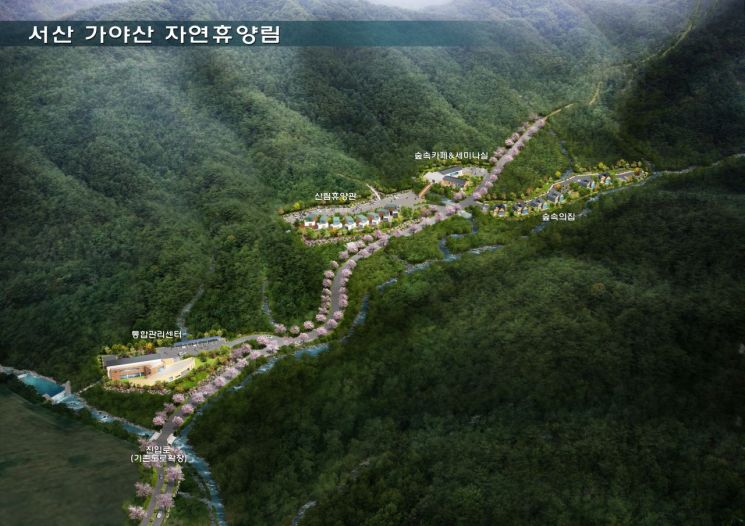 충남도 168억 들여 산림 휴양·치유시설 확대