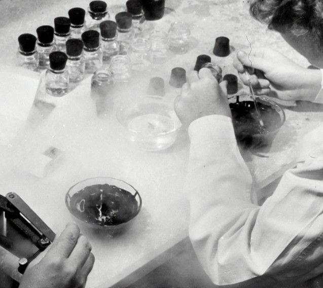 "세상이 바뀐다"…'매머드' 살리겠다며 수천억 쏟아부으려는 이 회사[테크토크]