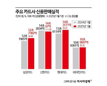 10년 만에 1위 탈환 삼성, 신한 절치부심…애플페이 선도 현대 '복병'[금융 지각변동]④