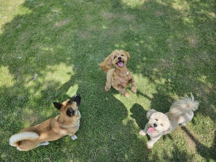 순천시, ‘반려동물 친화도시’ 다양한 정책 추진