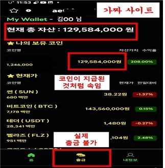 가짜 코인 지갑사이트 예시. 금융감독원 제공