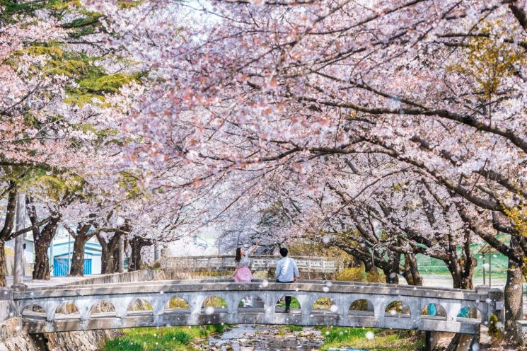 관광공사 '참가비 2만5000원' 소도시 당일 여행 참가자 모집