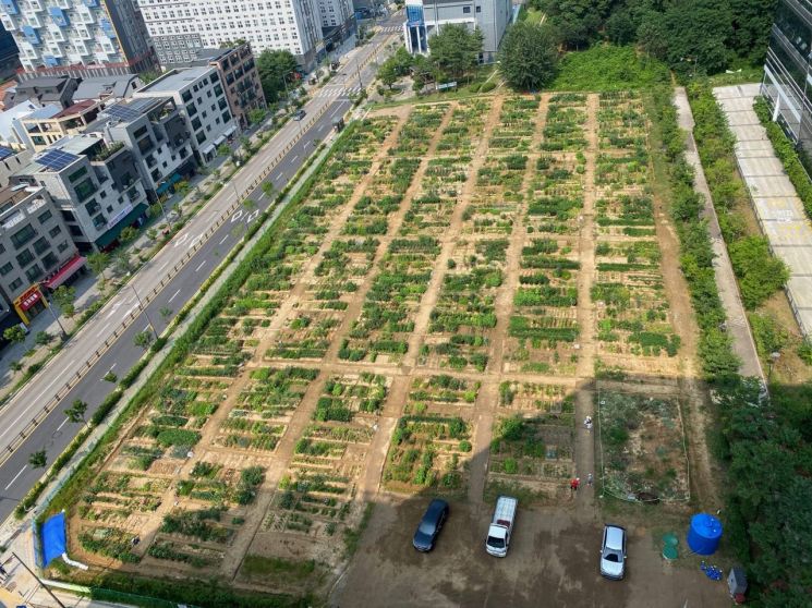 '행복 팜팜'…구리시, 도시농부 체험텃밭 도시농부 모집