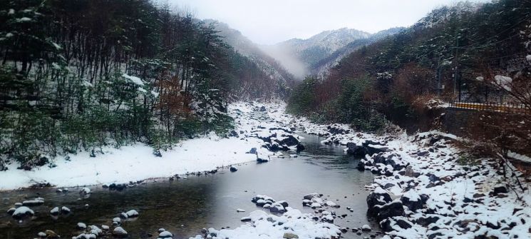 [포토] 따뜻한 봄·풍요로운 한 해 불러올 ‘울진 瑞雪 불영계곡’ 설경