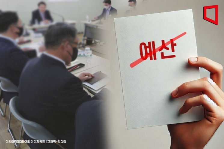 "신속집행 탓에 멀쩡한 예산도 삭감"…편법 쓰는 지자체