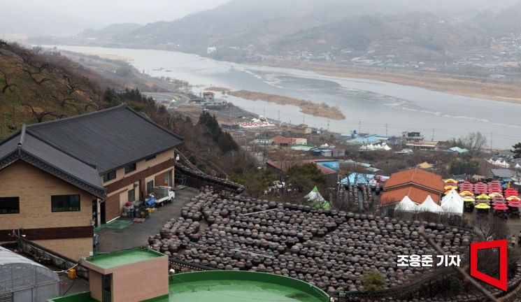[조용준의 여행만리]섬진강 봄꽃로드 빨강, 하양, 노랑 꽃잔치