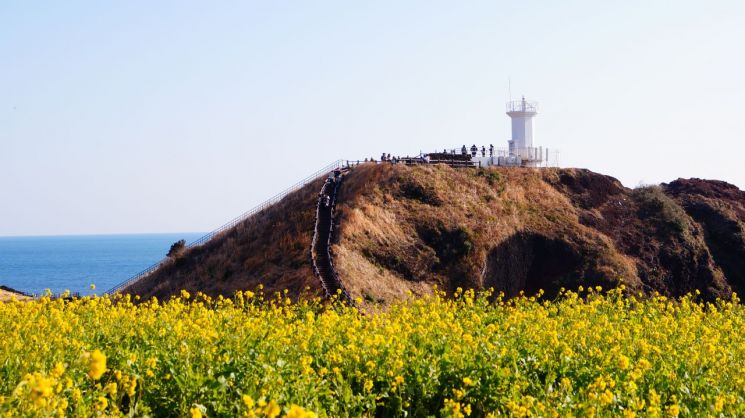 항공편이 줄면서 제주도민과 관광객 모두 어려움을 겪고 있다. 픽사베이