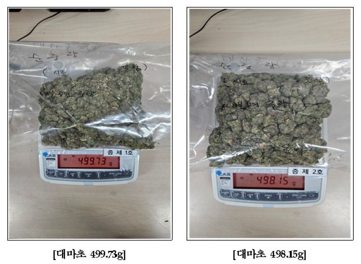 “귀국자금 필요해서” 대마초 밀수입한 불법체류자 구속