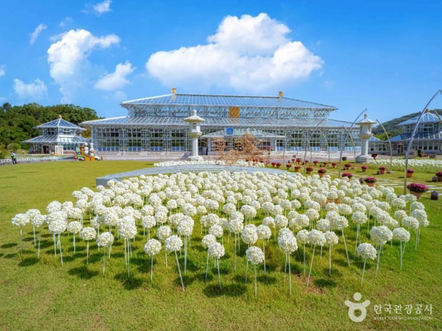 경주 보문 단지는 경주 시가지에서 동쪽으로 약 10여㎞ 정도 떨어진 명활산 옛 성터에 보문호를 중심으로 조성되었다. 경주지역에는 특히 벚나무가 많아 산책하기 좋다. 한국관광공사 홈페이지