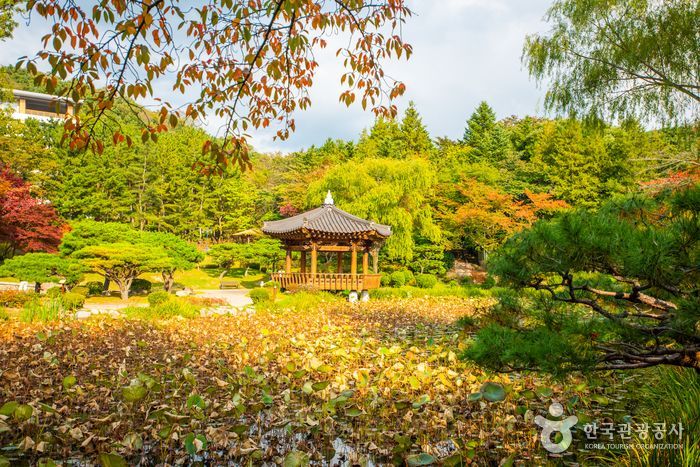 경주 보문 단지는 경주 시가지에서 동쪽으로 약 10여㎞ 정도 떨어진 명활산 옛 성터에 보문호를 중심으로 조성되었다. 경주지역에는 특히 벚나무가 많아 산책하기 좋다. 한국관광공사 홈페이지