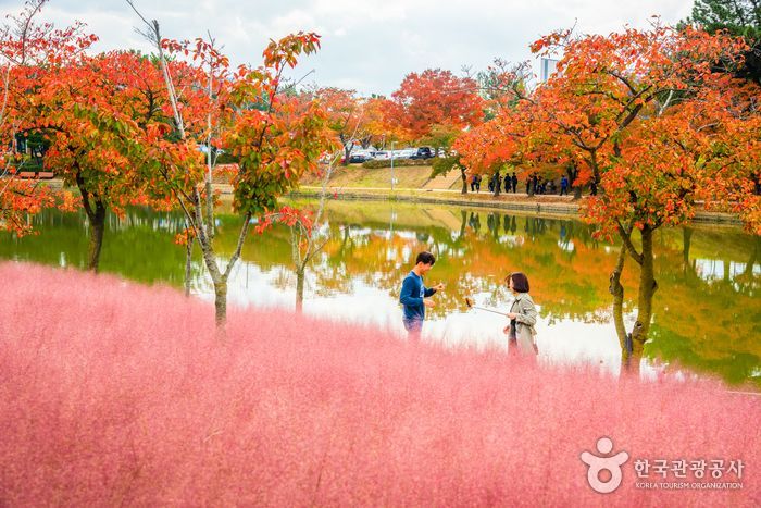 경주 보문 단지는 경주 시가지에서 동쪽으로 약 10여㎞ 정도 떨어진 명활산 옛 성터에 보문호를 중심으로 조성되었다. 경주지역에는 특히 벚나무가 많아 산책하기 좋다. 한국관광공사 홈페이지