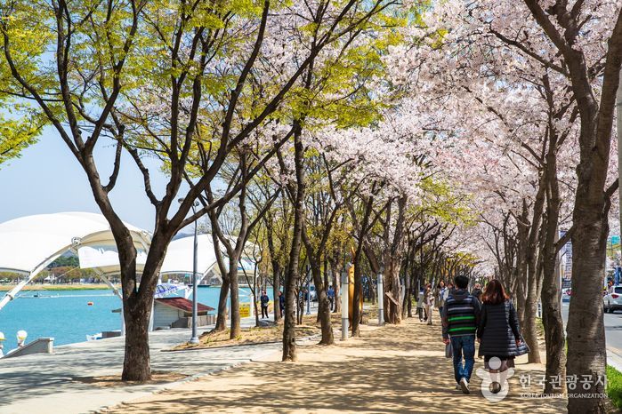 수성유원지는 주변의 완만한 산지와 수성못을 끼고 자연의 경관미를 이루고 있다. 보트놀이와 오리배 등을 즐길 수 있는 수성못과 어린이 놀이터, 두산폭포 등 볼거리, 즐길거리가 있어 가족나들이와 연인들의 데이트 코스로 적격이다. 한국관광공사 홈페이지