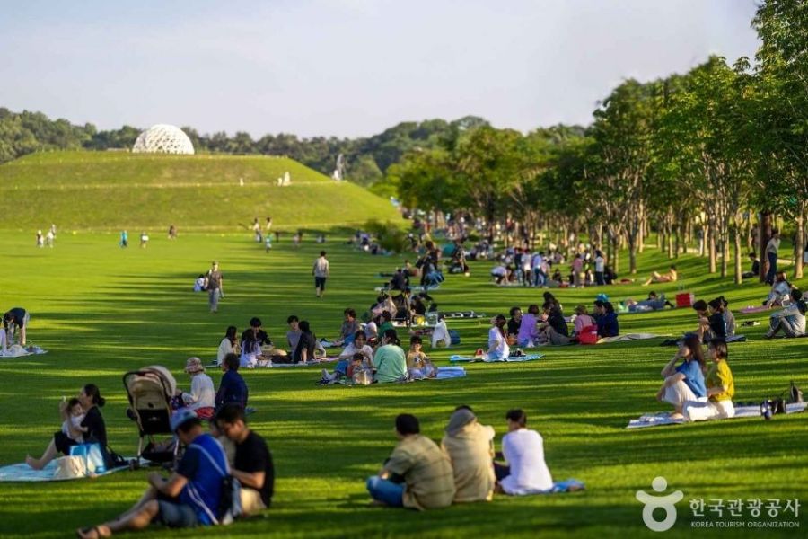 오천그린광장은 대규모 마로니에 숲을 비롯해 다양한 수목들이 어싱길, 잔디밭과 어우러져 시민들이 많이 찾고 사랑하는 공간으로 자리매김했다. 한국관광공사 홈페이지