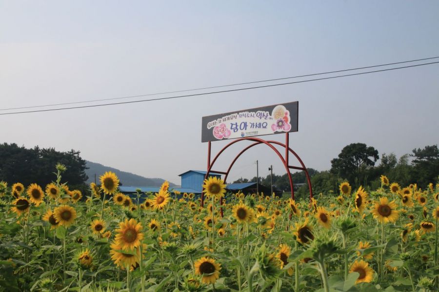익산시 성당면 와초리 성당초등학교 남성분교 폐교부지 위에 세워진 국내 유일의 영화 촬영용 교도소 세트장. 이곳에서 영화 ‘홀리데이’, ‘아이리스’,‘전설의 마녀’, ‘7번 방의 선물’,‘내부자들’ 등 200여 편의 영화와 드라마가 촬영되었다. 익산시 홈페이지