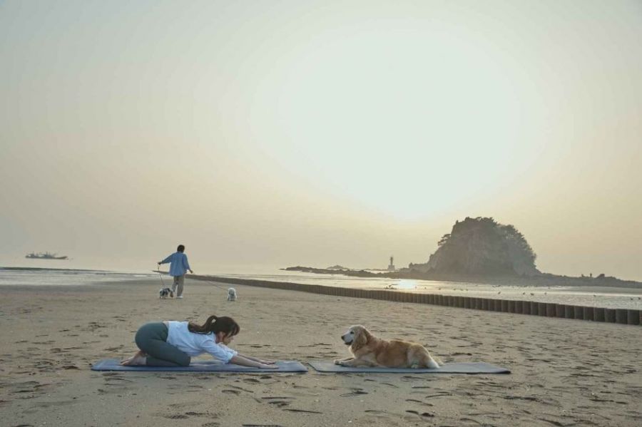 충남 태안군 안면읍 광지길에 자리한 꽃지해변은 5km에 이르는 백사장과 할배바위, 할매바위가 어우러져 그림 같은 풍광을 보여준다. 2개의 바위 너머로 붉게 물드는 낙조는 태안을 상징하는 아름다운 풍광 중 으뜸으로 꼽힌다. 한국관광공사 홈페이지