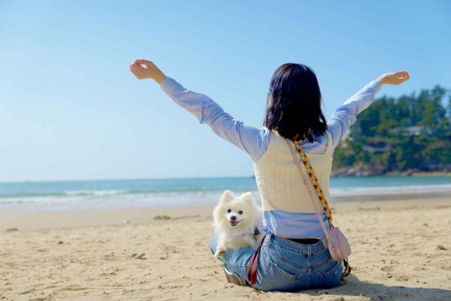 충남 태안군 안면읍 광지길에 자리한 꽃지해변은 5km에 이르는 백사장과 할배바위, 할매바위가 어우러져 그림 같은 풍광을 보여준다. 2개의 바위 너머로 붉게 물드는 낙조는 태안을 상징하는 아름다운 풍광 중 으뜸으로 꼽힌다. 한국관광공사 홈페이지
