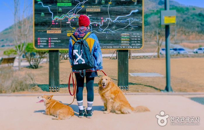 맑고 깨끗한 자태를 뽐내는 한탄강에는 자연의 신비가 느껴진다. 한국관광공사 홈페이지