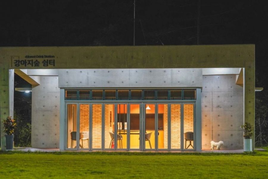 국내 최대 규모의 반려견 테마파크. 춘천 남산면 일대 약 99,173㎡(약 3만 평) 대지에 조성한 강아지숲. 박물관, 운동장, 수영장(여름 한정 운영) 등 다채로운 시설을 갖췄다. 예방접종이 완료된 3개월 이상의 반려견만 입장 가능하다. 한국관광공사 홈페이지