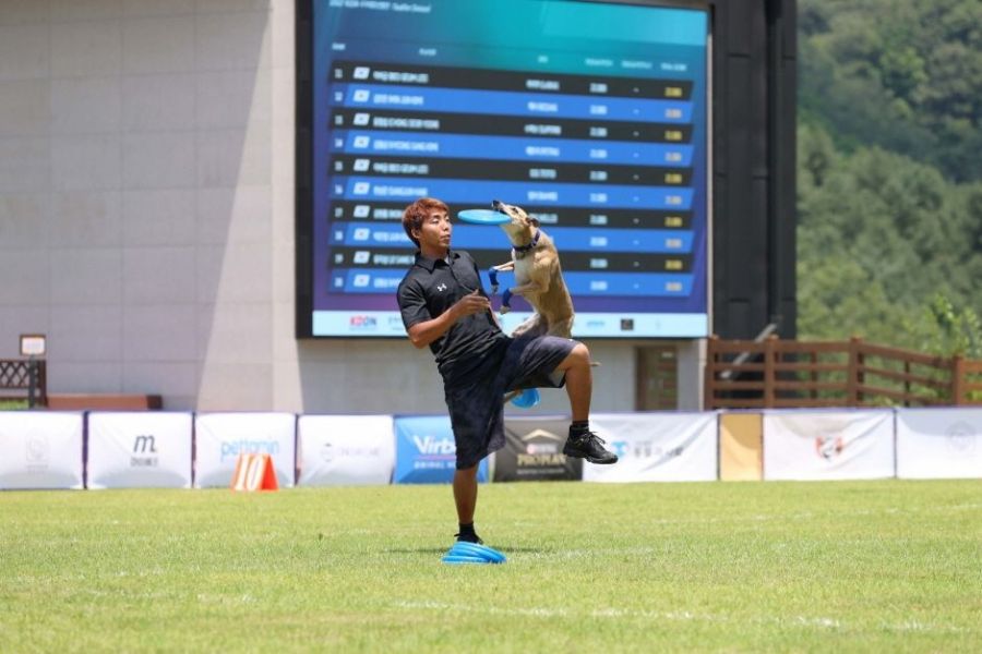 국내 최대 규모의 반려견 테마파크. 춘천 남산면 일대 약 99,173㎡(약 3만 평) 대지에 조성한 강아지숲. 박물관, 운동장, 수영장(여름 한정 운영) 등 다채로운 시설을 갖췄다. 예방접종이 완료된 3개월 이상의 반려견만 입장 가능하다. 한국관광공사 홈페이지