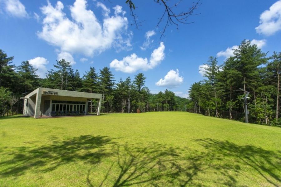 국내 최대 규모의 반려견 테마파크. 춘천 남산면 일대 약 99,173㎡(약 3만 평) 대지에 조성한 강아지숲. 박물관, 운동장, 수영장(여름 한정 운영) 등 다채로운 시설을 갖췄다. 예방접종이 완료된 3개월 이상의 반려견만 입장 가능하다. 한국관광공사 홈페이지