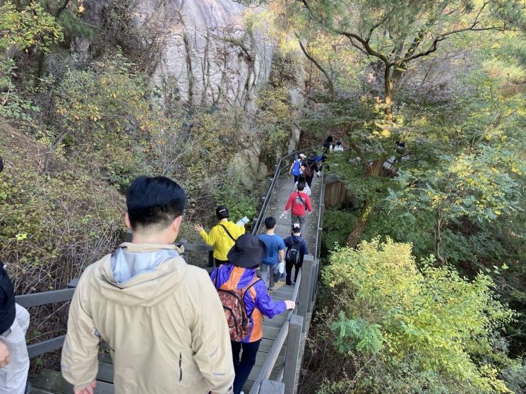 Operation of the Urban Attraction 'Jongno Dullegil' Fully Underway