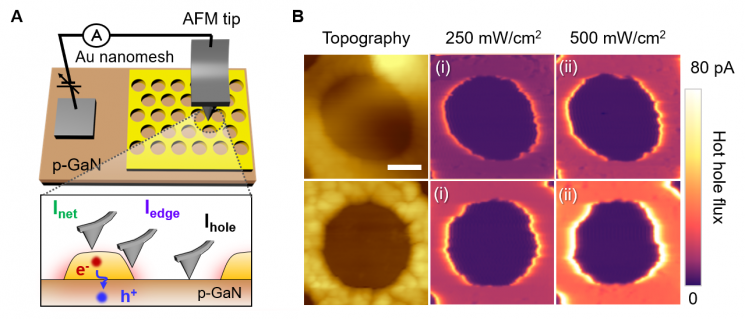 Found 'Hot Hole' Amplification Method to Enhance Light Energy Efficiency