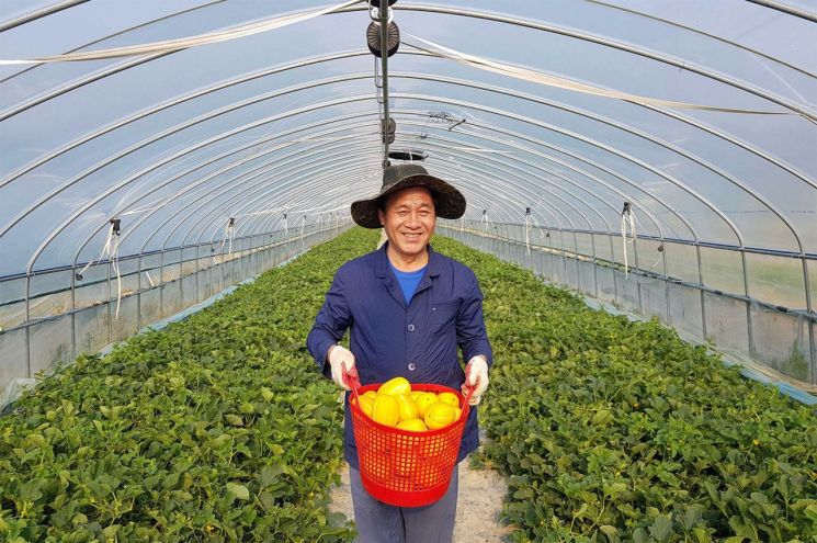 ????? ???????????? ??????? ????????. 쿠팡 제공