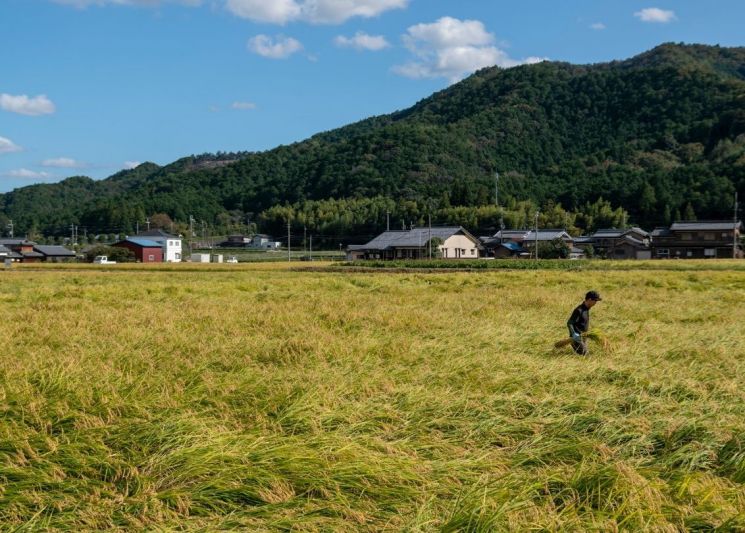 "사재기 해야 해" 발 동동 구르더니…돌연 '수출 늘려라' 결정한 일본