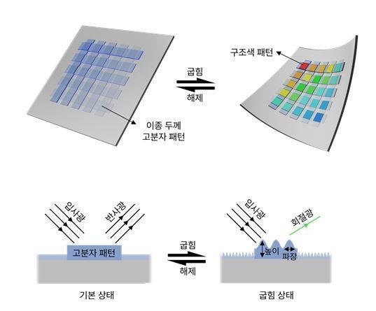 굽힘 기반 숨김 인식 가변형 구조색 필름 기술의 개요.