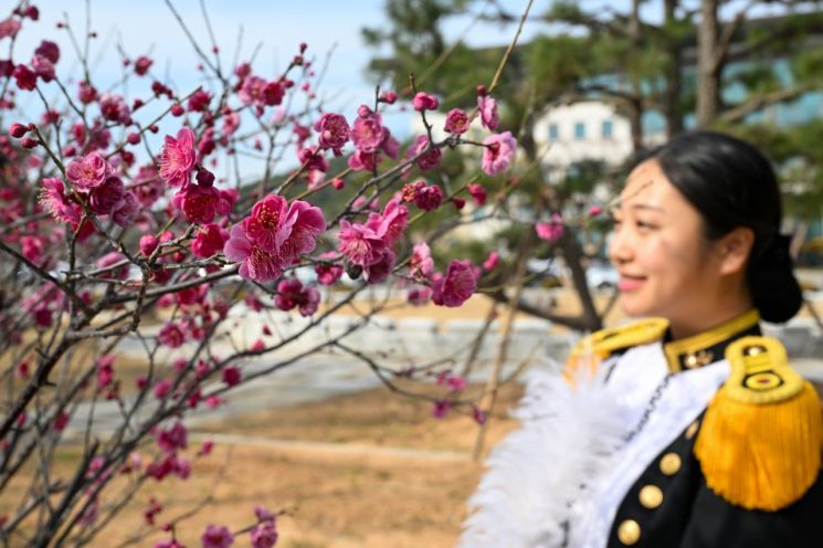 [포토] 봄의 전령사 … ‘홍매화’와 해군사관생도