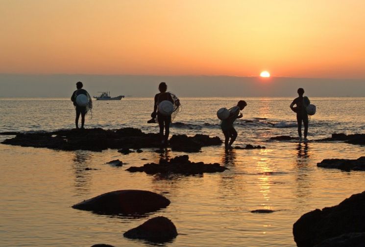 조업을 마친 제주 해녀들. [사진 = 제주도]