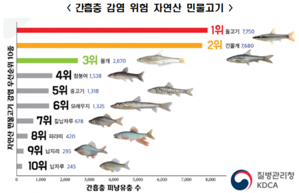 기생충 득실득실…날로 먹었다가 암 걸린다는 '이 물고기'