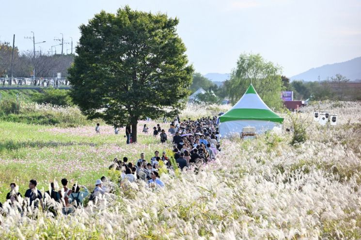 지난해 진행된 서창억새축제. 광주시 제공