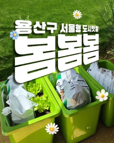 텃밭상자 보급 관련 카드뉴스. 용산구 제공.